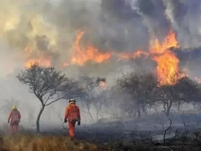 incendio-x2x-1-crop1662581073896-jpg.