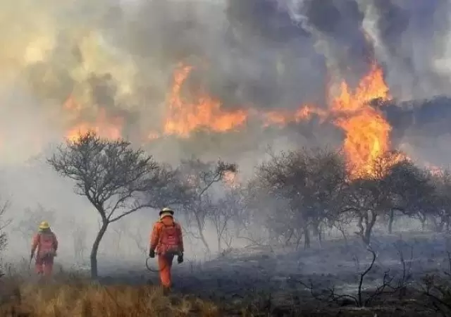 incendio-x2x-1-crop1662581073896-jpg.