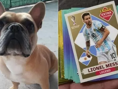 perro-figuritas-jpg-jpg.