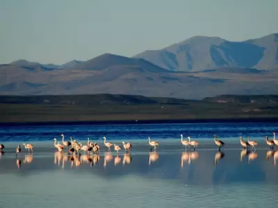 laguna-llancanelo-jpg.