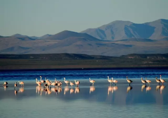 laguna-llancanelo-jpg.