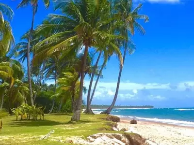playa-de-brasil-jpg.