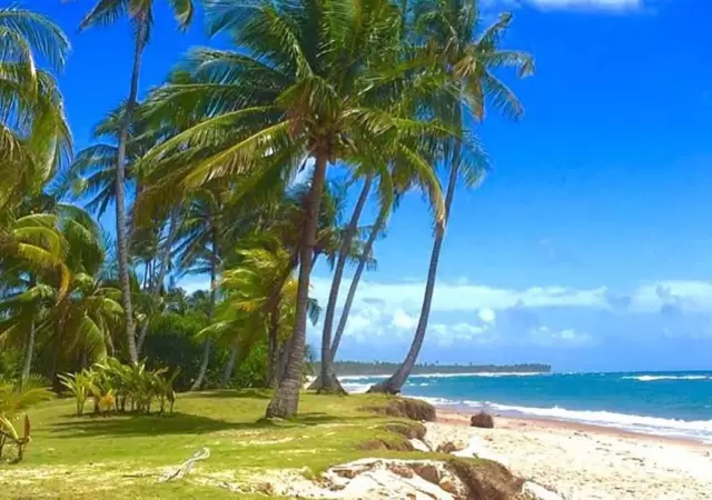 playa-de-brasil-jpg.