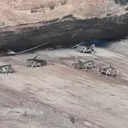 Una invasión de langostas generó preocupación en la población agropecuaria