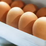 El secreto de los huevos que puede ser clave para el crecimiento