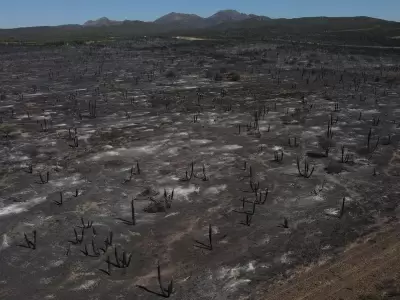 incendios-cordoba-01-jpeg.