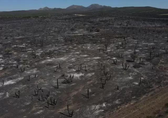 incendios-cordoba-01-jpeg.