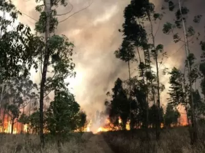 incendios-02-jpg.
