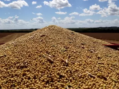 productores-sojeros-jpg.