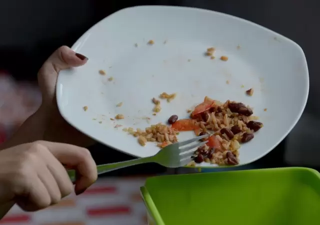 comida-jpg.