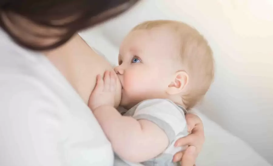 se-puede-intoxicar-al-bebe-a-traves-de-la-leche-materna-i-jpg.