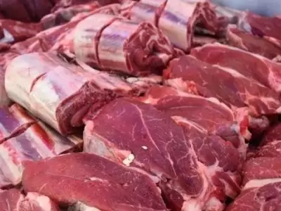 carne-2021-jpg.