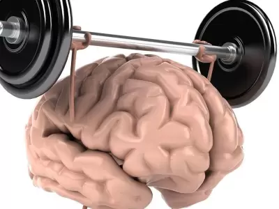 cerebro-jpeg.