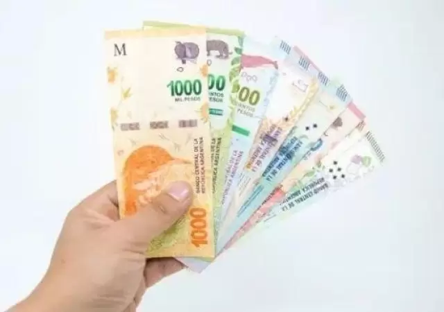 El calendario de ANSES para las Pensiones No Contributivas empieza el lunes 8 de septiembre.