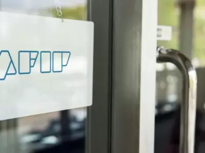 afip-plazos