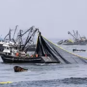 La actividad econ�mica creci� 3,2% interanual en octubre impulsada por la pesca y las finanzas