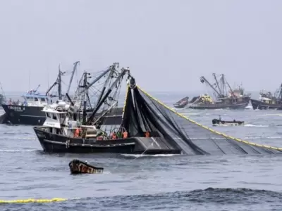 Pesca