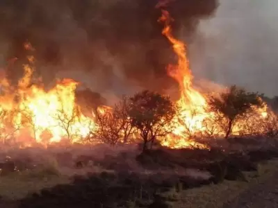 general-alvear-incendios-486586458645645-jpg.