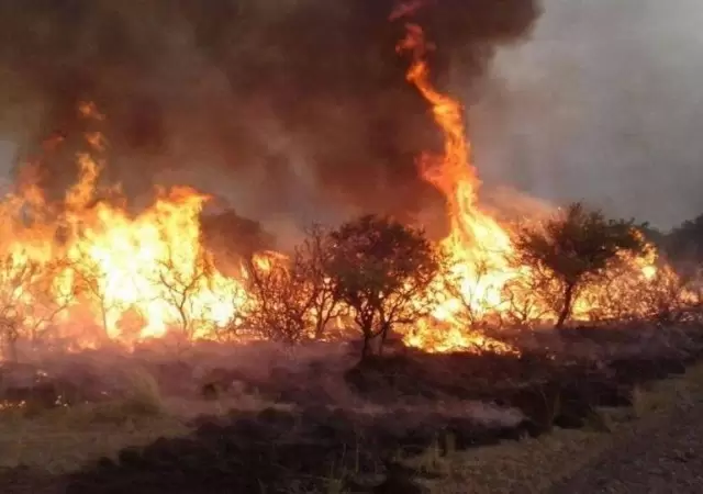 general-alvear-incendios-486586458645645-jpg.