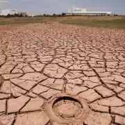Arde el planeta: 2024 se presenta como el m�s caluroso de la historia