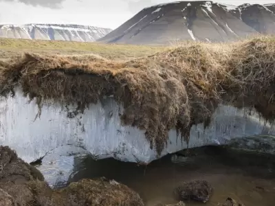 permafrost-siberia-artico-hielo-virus-png.