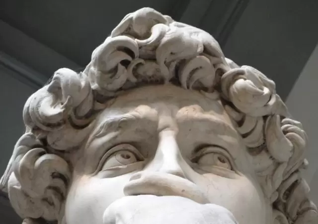 rostro-david-jpeg.