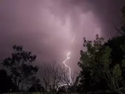 tormenta