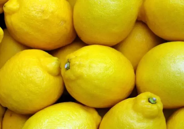 limones-jpg.