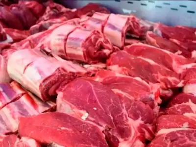 carne-png.