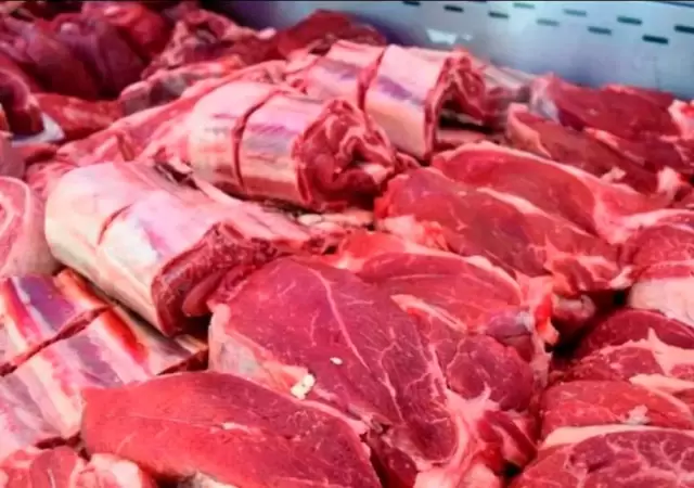 carne-png.