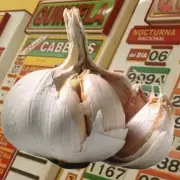 �Qu� n�mero es el ajo en la quiniela?