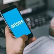 Por qu� mi asignaci�n de ANSES figura denegada en septiembre