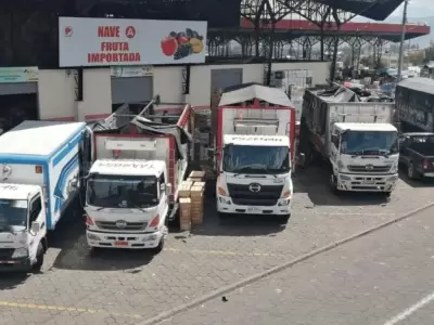 transporte-fruta-jpg.