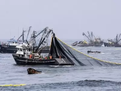 pesca-ilegal-jpg.