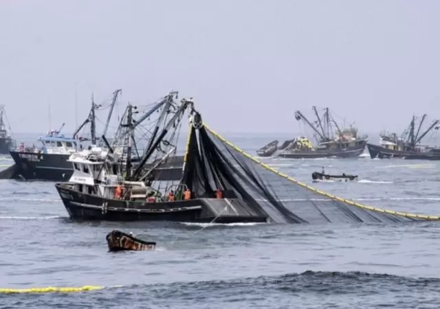 pesca-ilegal-jpg.