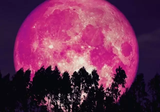 luna-rosa-jpg.