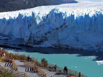 el-calafate-jpg.
