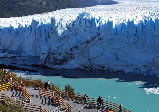 el-calafate-jpg.