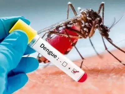 dengue