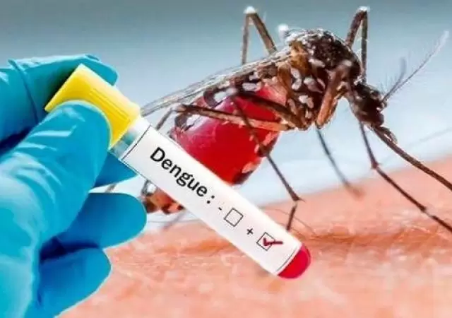dengue
