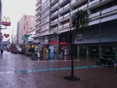 peatonal-san-martin-jpg.