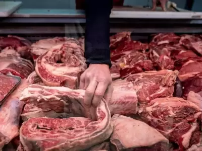 carne-carniceria-jpg.