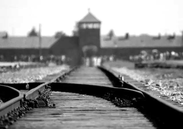 holocausto-png.