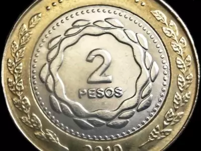 2-pesos-2010-rev-jpg.