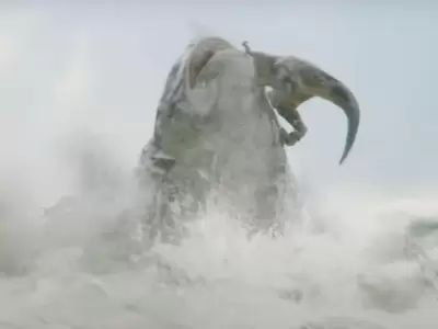 megalodon1-jpg.