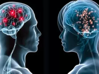 cerebro-masculino-y-femenino-jpg.