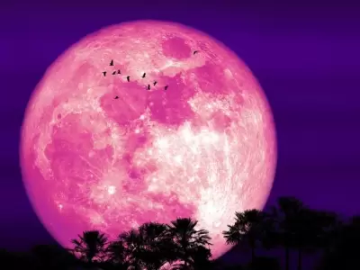 superluna-de-fresa-shutterstock-0-0-1200-747-jpg.