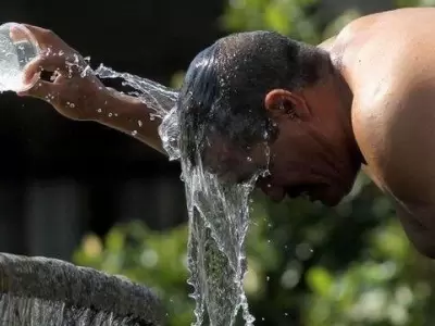 calor-jpg-jpg.