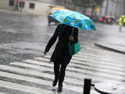 tem-jpg.
