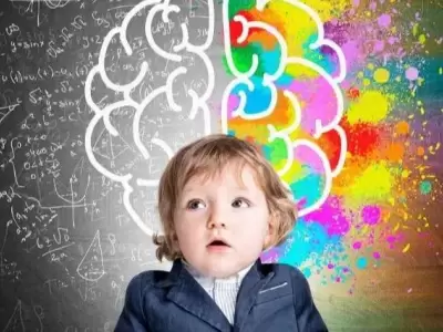 neuroeducacion-infantil-700x563-jpg-jpg.